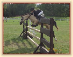 MČR pony 2004, Hradec Králové, 3.kolo parkur SPA, rozeskakování MČR pony 2004, Hradec Králové, 3.kolo parkur SPA, rozeskakování