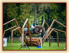 Zobrazit (žádná fotka) Carthago, Vikina, Bára, Arwen, Agáta a Greisy s Galenem plus hříbata Zobrazit (žádná fotka) Carthago, Vikina, Bára, Arwen, Agáta a Greisy s Galenem plus hříbata