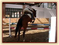 Zobrazit (10 fotek) Trénink pro nadcházející sezónu v Masečíně Zobrazit (10 fotek) Trénink pro nadcházející sezónu v Masečíně