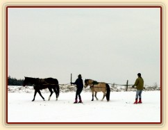 Zobrazit (13 fotek) Lyžování za koňma Zobrazit (13 fotek) Lyžování za koňma