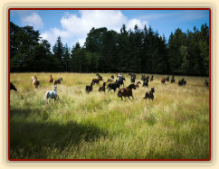 Zobrazit (86 fotek) Co se u nás aktuálně děje Zobrazit (86 fotek) Co se u nás aktuálně děje