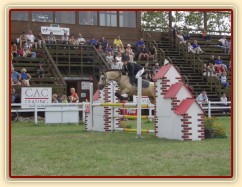 MČR pony 2004, Hradec Králové, 3.kolo parkur SPA MČR pony 2004, Hradec Králové, 3.kolo parkur SPA