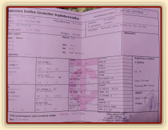 Zobrazit (žádná fotka) Koně, kteří u nás byli nebo jsou ve výcviku Zobrazit (žádná fotka) Koně, kteří u nás byli nebo jsou ve výcviku