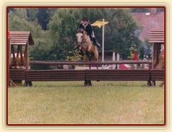 Mistrovství středočeské oblasti ve skocích pony, Heroutice 2003. Radka a Greisy vybojovaly v dvoukolovém LPA medaili za druhé místo. Mistrovství středočeské oblasti ve skocích pony, Heroutice 2003. Radka a Greisy vybojovaly v dvoukolovém LPA medaili za druhé místo.