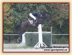 Zobrazit (žádná fotka) Závody s našimi koňmi a koňmi u nás ve výcviku Zobrazit (žádná fotka) Závody s našimi koňmi a koňmi u nás ve výcviku