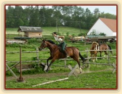 Trénink skokové řady