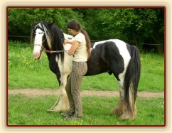 7 her podle Pata Parelli - ohnutí hlavy