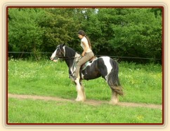 Jízdárna - začátek couvání