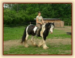 Jízdárna - ohnutí na kruhu v kroku