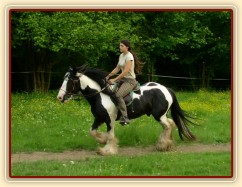 Jízdárna - klus po obvodu