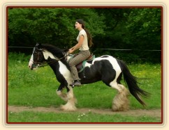 Jízdárna - klus po obvodu