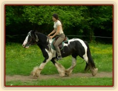 Jízdárna - klus po obvodu