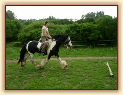 Jízdárna - nájezd na kavalety v klusu