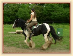 Jízdárna - cval po obvodu