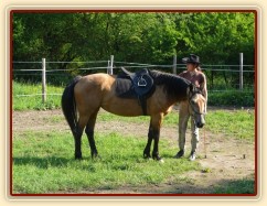 Práce ve volnosti v kruhovce - pochvala po přivolání 