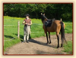 Práce ve volnosti v kruhovce - kůň sleduje člověka