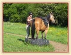 Práce na nákrčáku - stoupnutí do pneumatiky zadními nohami