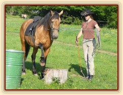 Práce na nákrčáku - stoupání na špalek