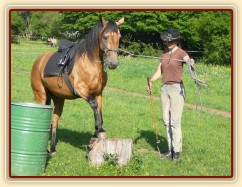 Práce na nákrčáku - stoupání na špalek