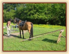Práce na laně - zacouvání mezi klády do omezeného prostoru