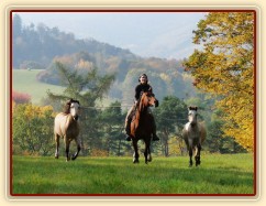 Galen, Agáta a Greisy na vyjížďce