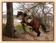 Agáta skáče přes kamennou zídku na vyjížďce