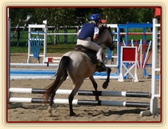 Greisy na parkurových závodech se svou šestiletou jezdkyní