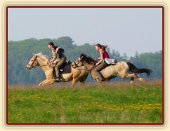 Galen a Tobiáš na vyjížďce - není nad to se pořádně proběhnout:-)