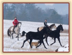 Arwen a Carthago na své první vycházce, 1,5 roku staří