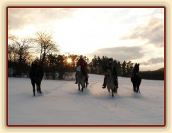 Arwen a Carthago na své první vycházce, 1,5 roku staří