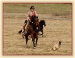 Agáta, Arwen a Samantha ve cvalu