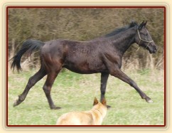 Carthago řádí na vyjížďce se Samanthou