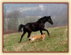 Carthago řádí na vyjížďce se Samanthou