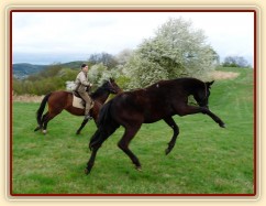 Carthago řádí na laně při vyjížďce