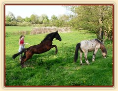 Arwen skáče přes potok