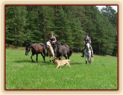 Carthago, Arwen, Galen a Divo na vyjížďce