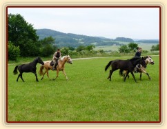 Carthago a Arwen na vyjížďce, zatím jsou na lanech