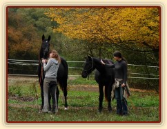 Arwen a Carthago při skákání ve volnosti - odchyt:-)