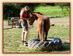 Chelsea při práci ze země