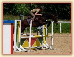 Durman při tréninku parkuru ve Všeticích