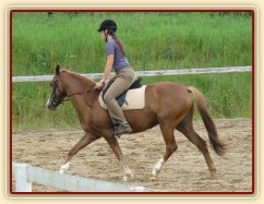 Guinevra na kolbišti ve Všeticích