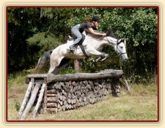 Divo překonává terénní skok na Hněvšíně