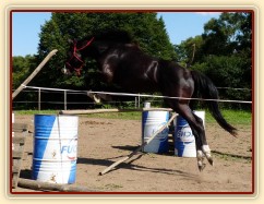 Grant při skákání ve volnosti