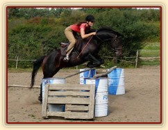 Maty skáče oxer ve skokové řadě