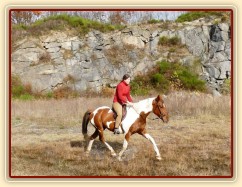 Vikina kluše vodou v lomu