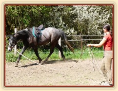 Jared na lonži krátce před obsedáním