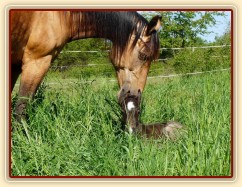 Keisy a Witty den po narození