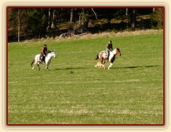 Naše pastviny v Čeleticích, Vikina a Divík testují povrch:-)