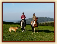 Vikina a Divík na našich pozemcích