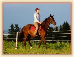 Arwen na jízdárně